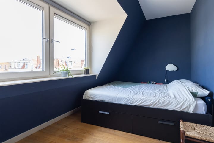 Foto 5 van Laan van Nieuw-Guinea 80-E