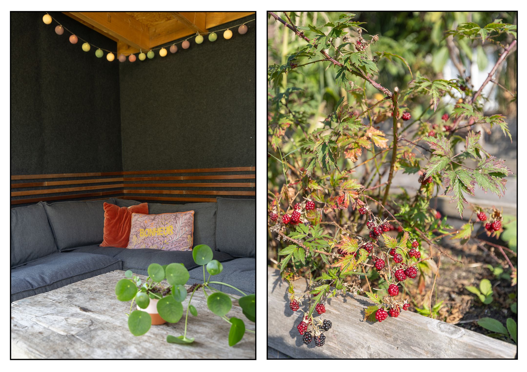 Foto 36 van Lomboklaan 2