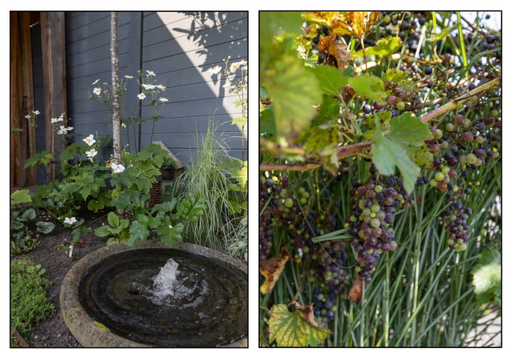 Photo 45 of Lomboklaan 2