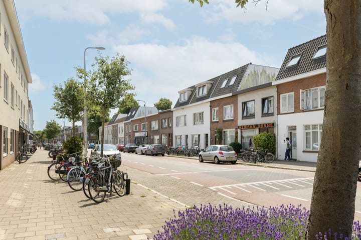 Foto 32 van Laan van Nieuw-Guinea 80-E