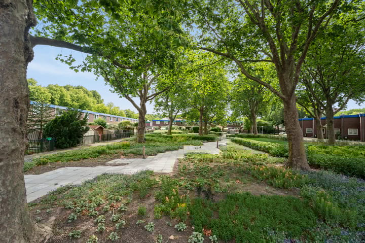 Foto 23 van Anthony Spatzierhof 8