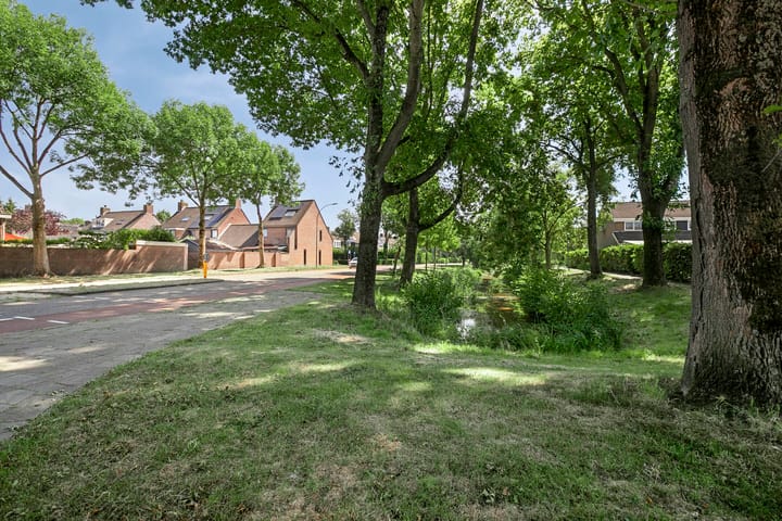 Foto 33 van Wolfslaar 6