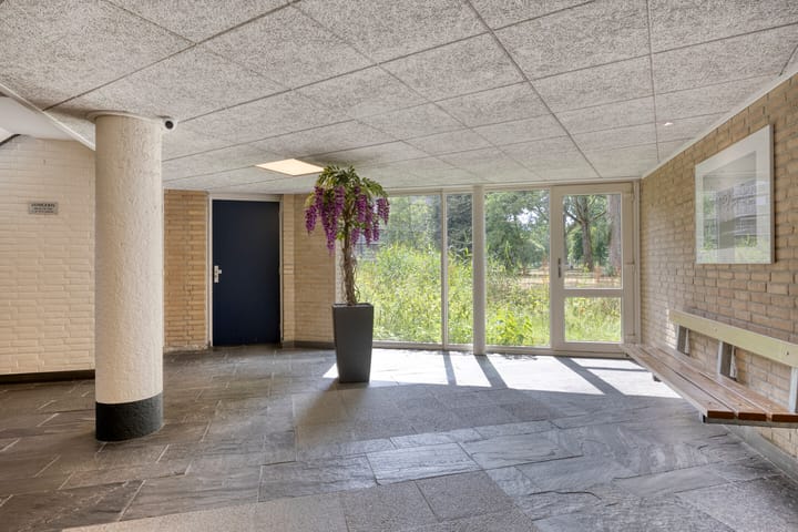 Foto 7 van Kruiskampsingel 317