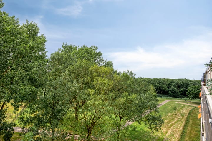 Foto 27 van Kruiskampsingel 317