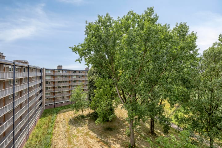 Foto 28 van Kruiskampsingel 317