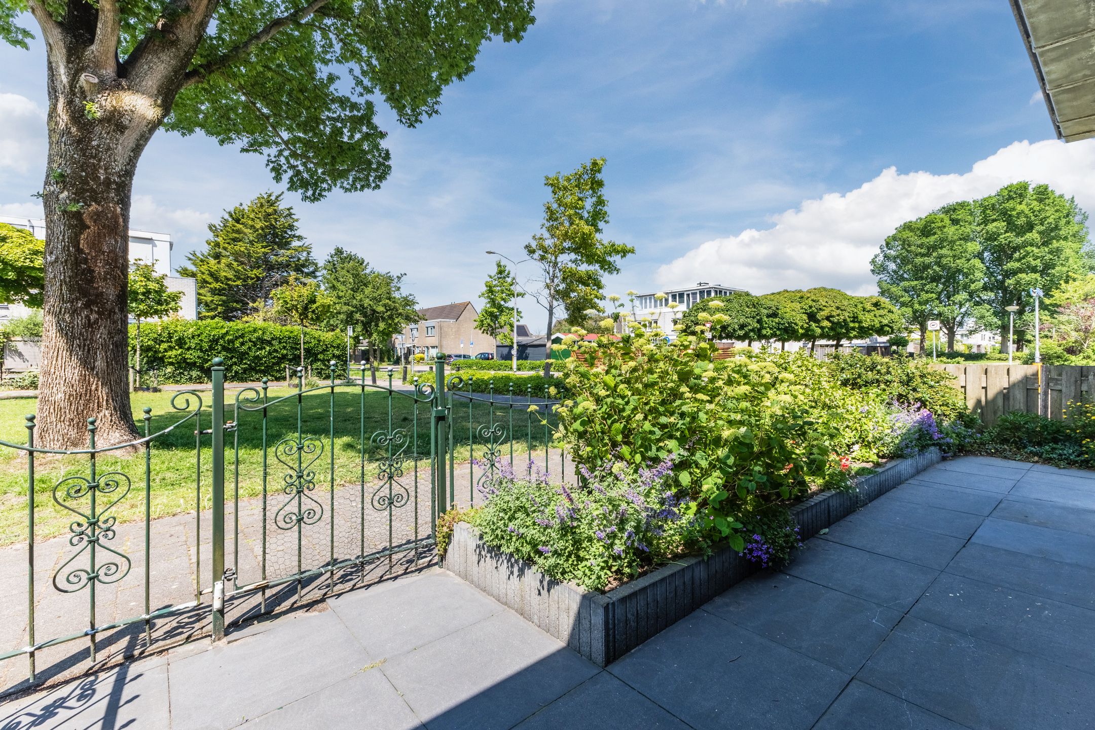 Foto 9 van Eline Vereplantsoen 41