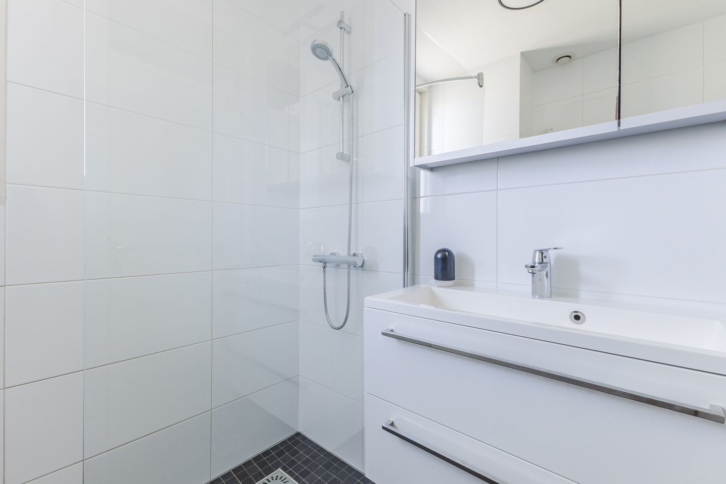 Foto 29 van Eline Vereplantsoen 41