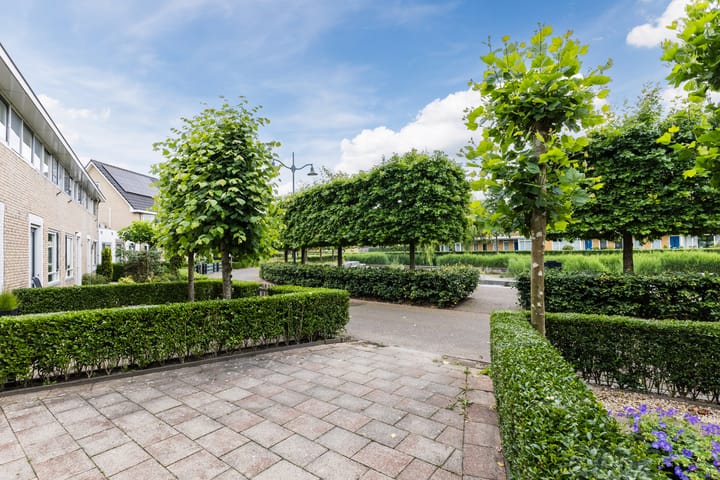 Foto 3 van Koningspage 45