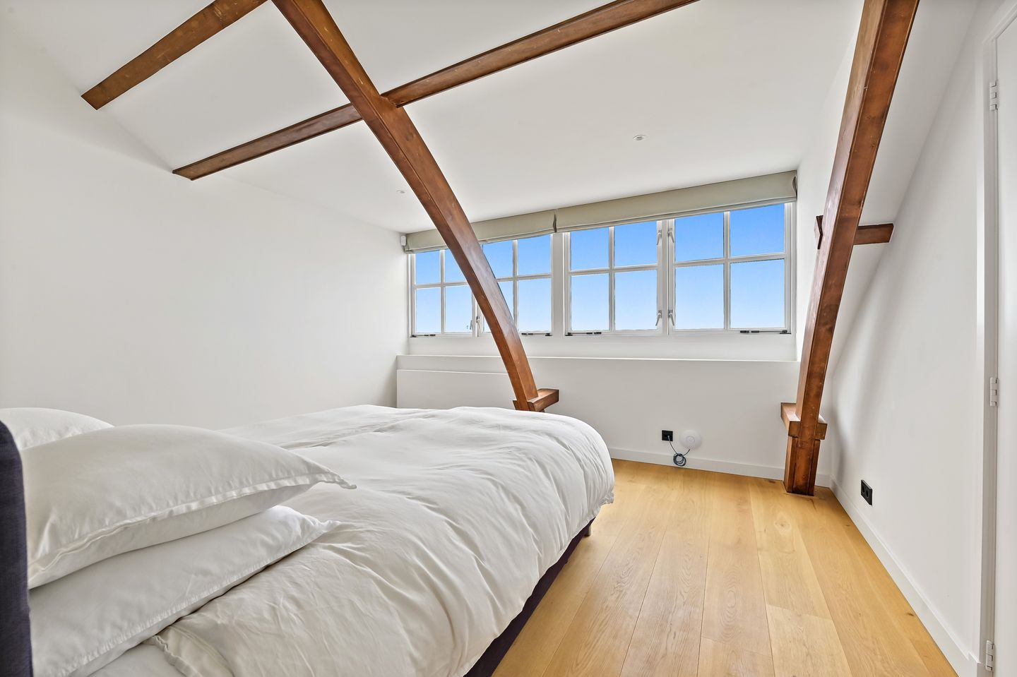 Photo 20 of Zeekant 11