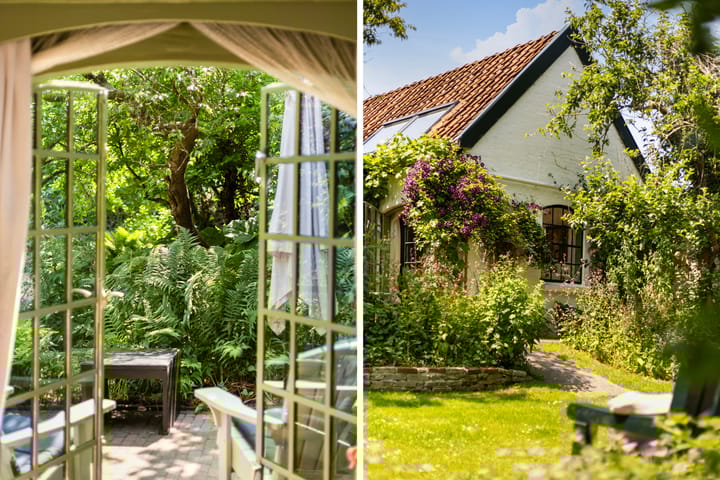 Foto 36 van Hegebuorren 25