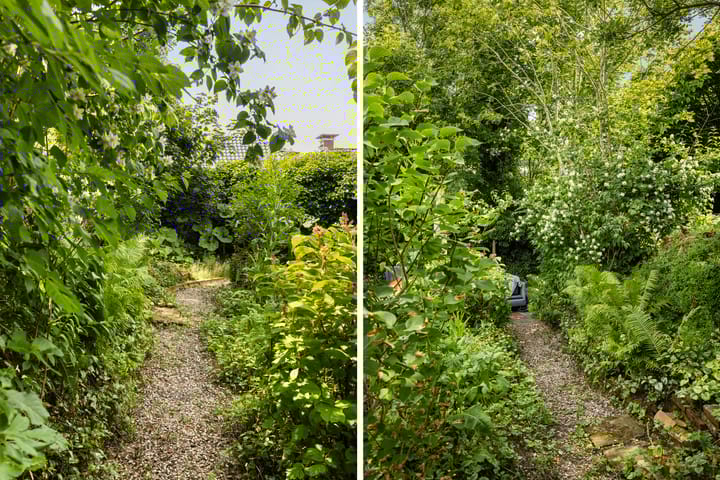 Foto 43 van Hegebuorren 25