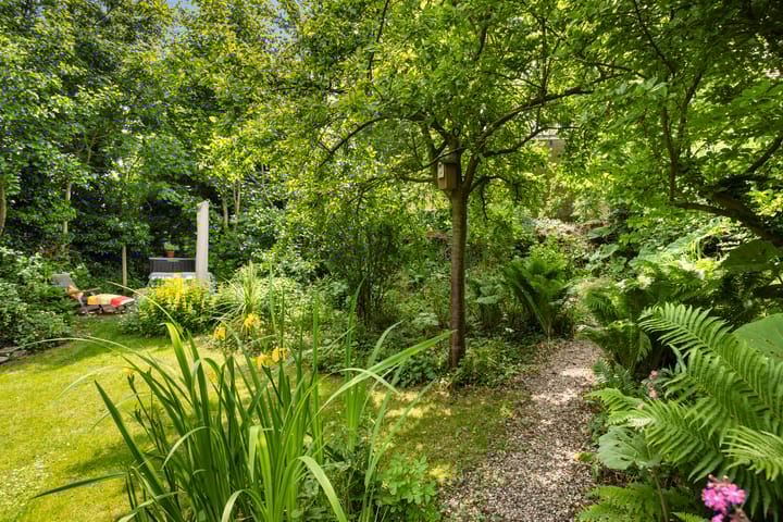 Foto 45 van Hegebuorren 25