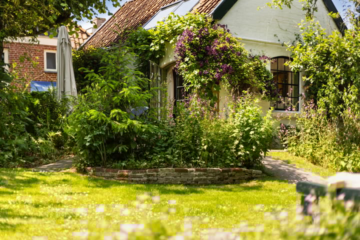 Foto 49 van Hegebuorren 25