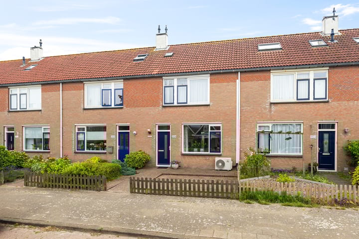 Foto 1 van Wierbalg 1904