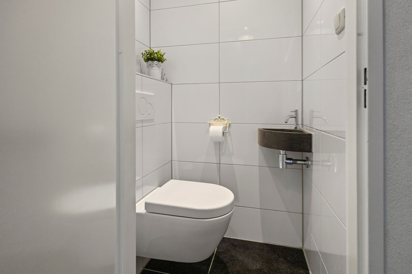 Foto 5 van Wierbalg 1904