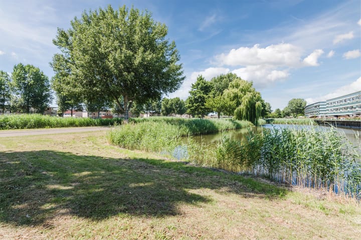 Foto 40 van Renoirstraat 84