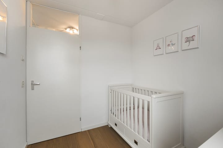 Foto 27 van Wierbalg 1904