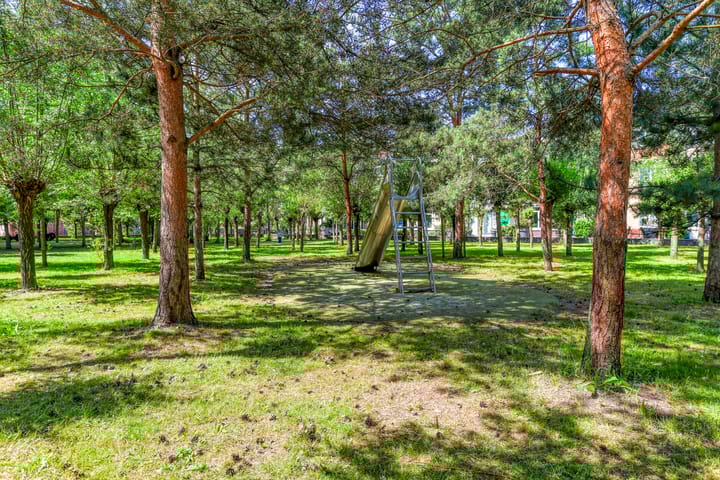 Foto 60 van Alexander Gogelstraat 8