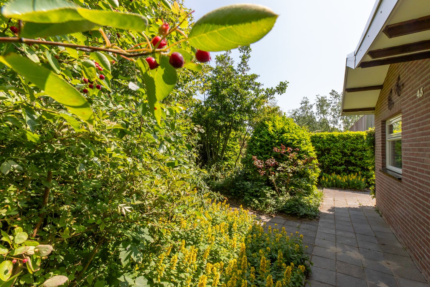 Photo 10 of De Zandput 43