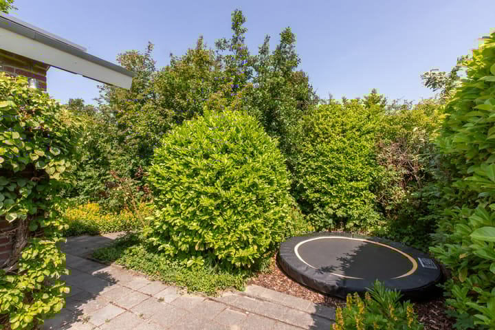 Photo 25 of De Zandput 43