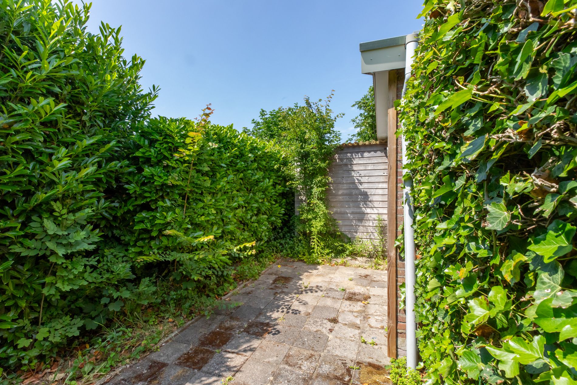 Photo 30 of De Zandput 43