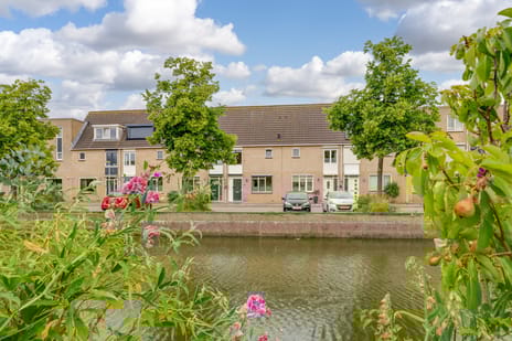 undefined main image