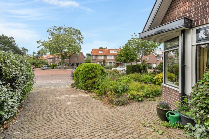 Foto 43 van Terrasweg 59