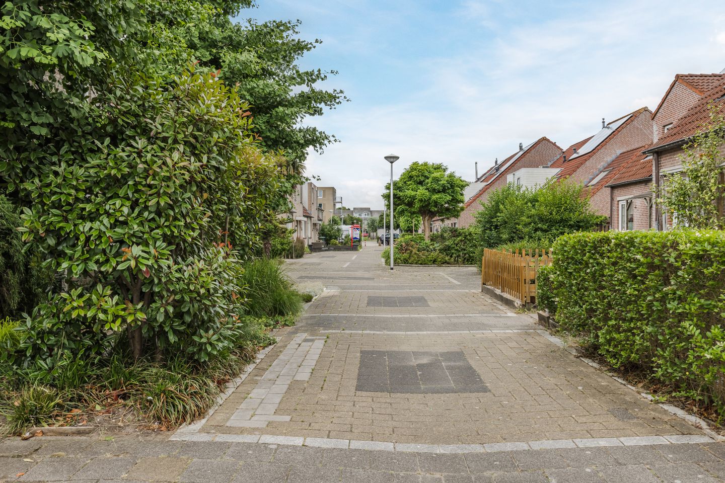 Foto 50 van Scheisloot 34