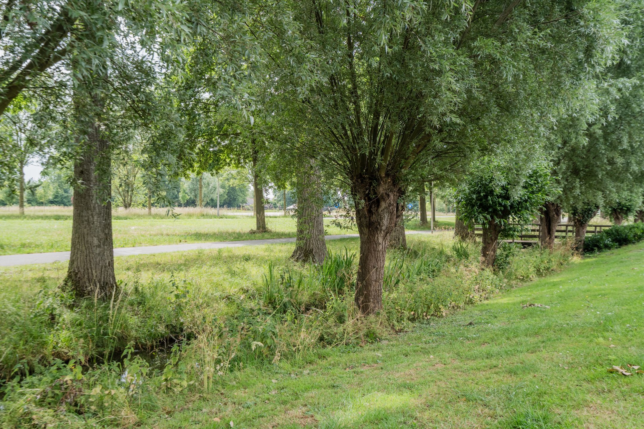 Foto 51 van Scheisloot 34