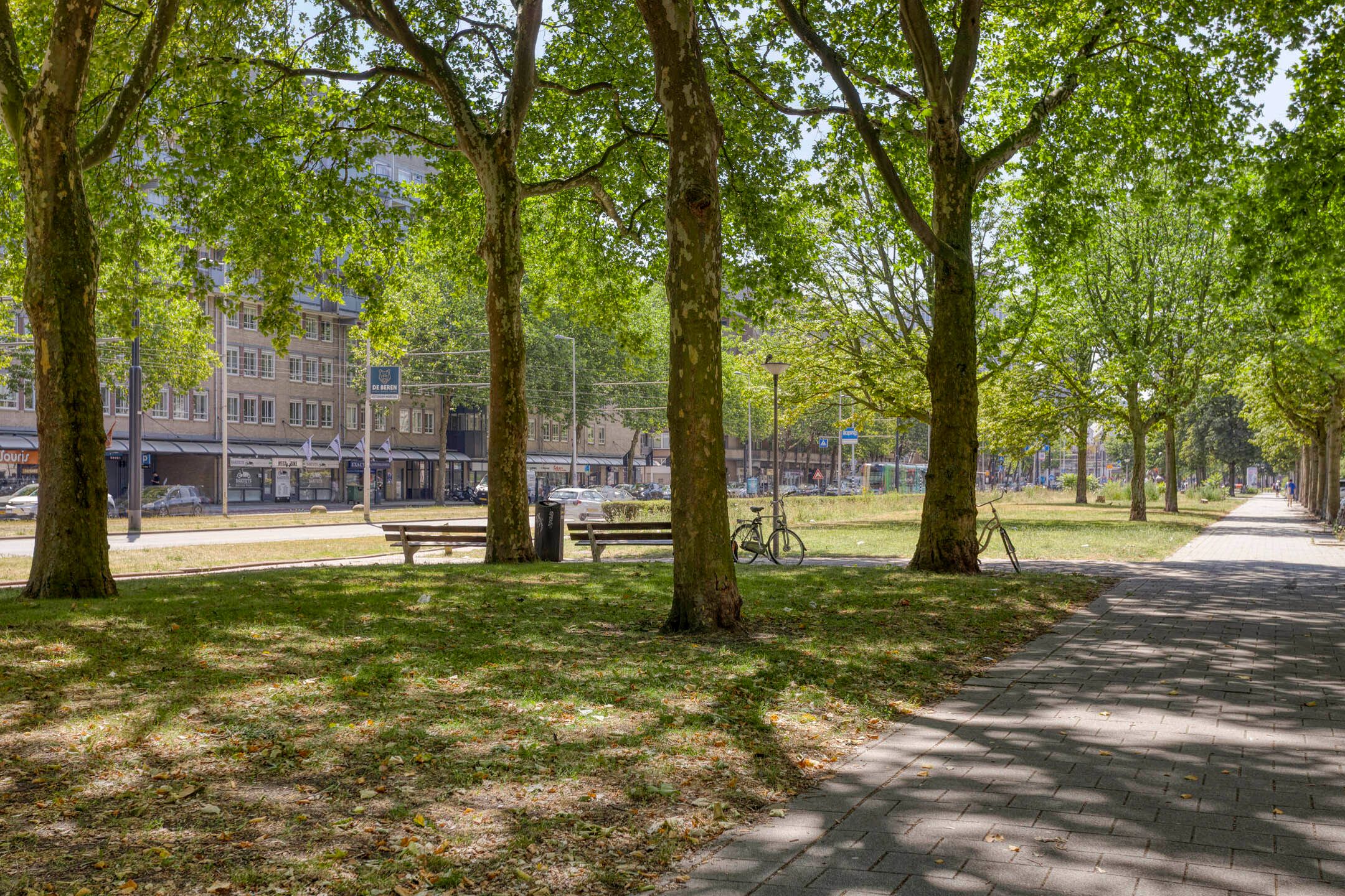 Photo 24 of Oostplein 110