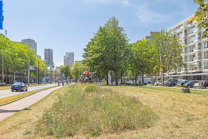 Photo 26 of Oostplein 110