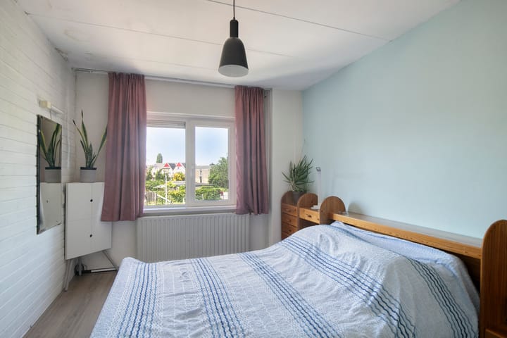 Foto 4 van Lupine 30