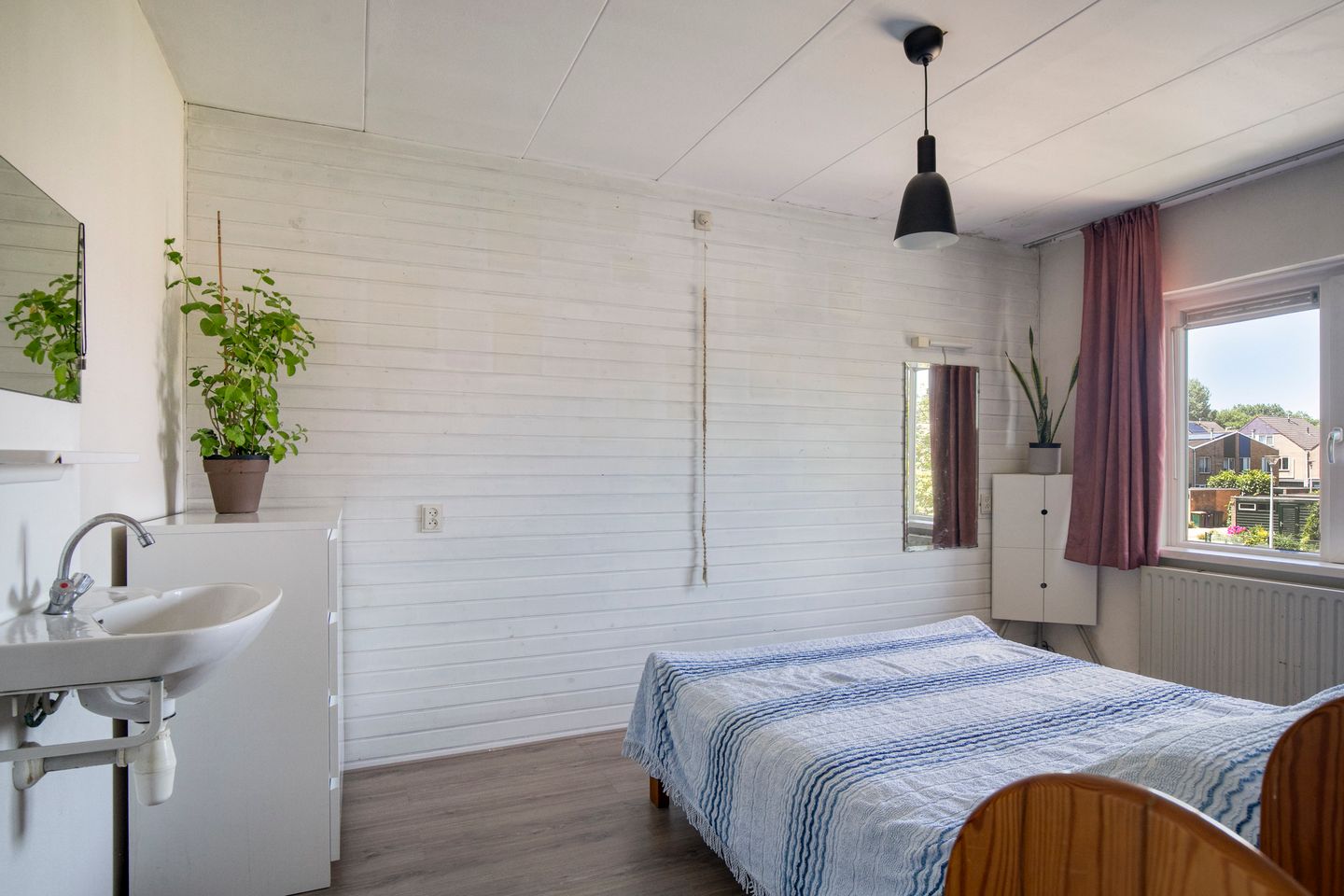 Foto 14 van Lupine 30