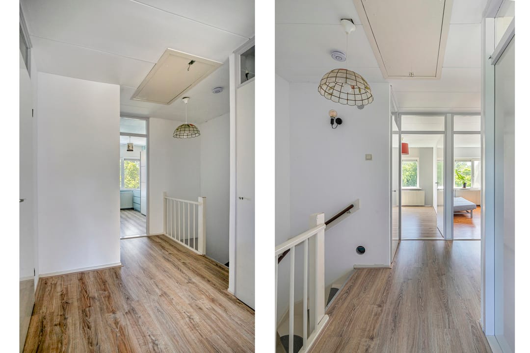 Foto 22 van Lupine 30