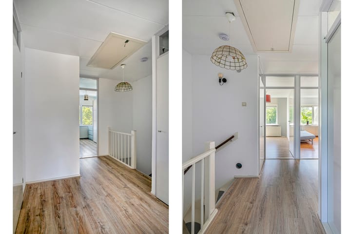 Foto 22 van Lupine 30