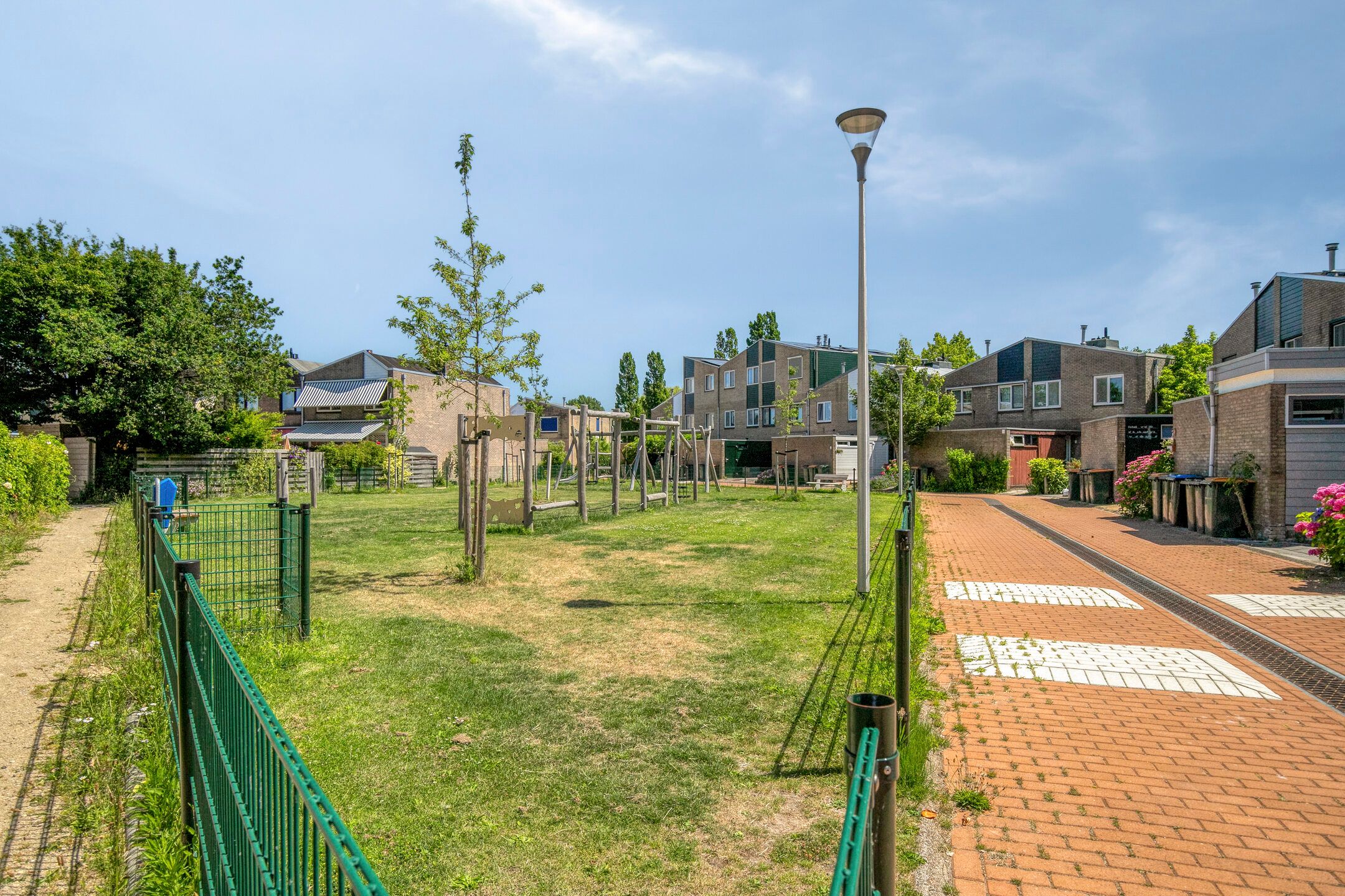 Foto 24 van Lupine 30