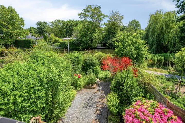 Foto 27 van Lupine 30