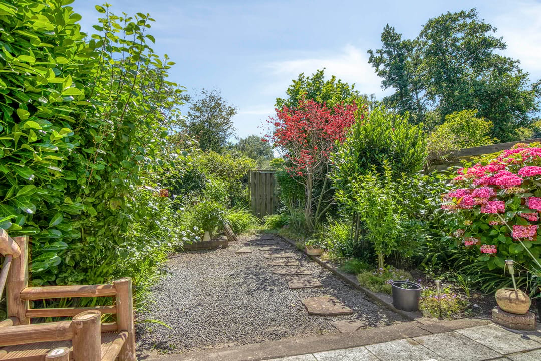 Foto 28 van Lupine 30