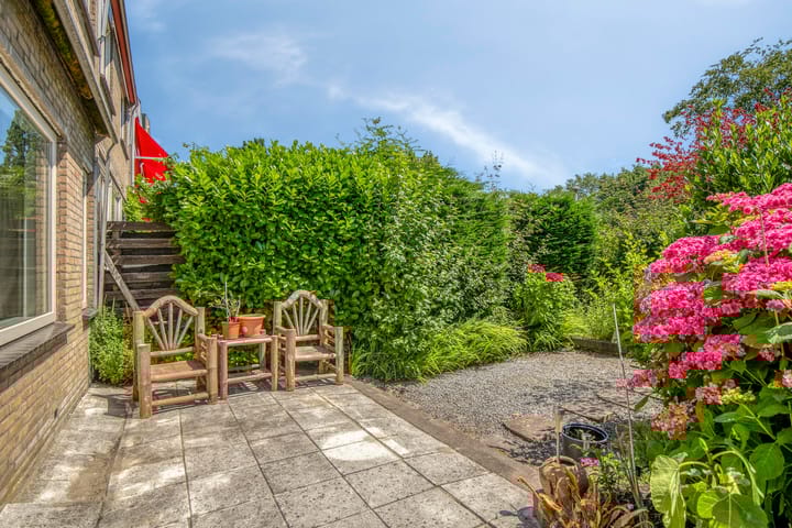 Foto 29 van Lupine 30