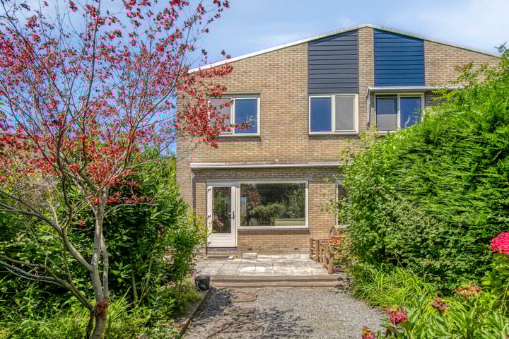 Foto 30 van Lupine 30