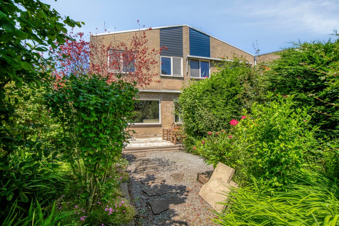 Foto 31 van Lupine 30