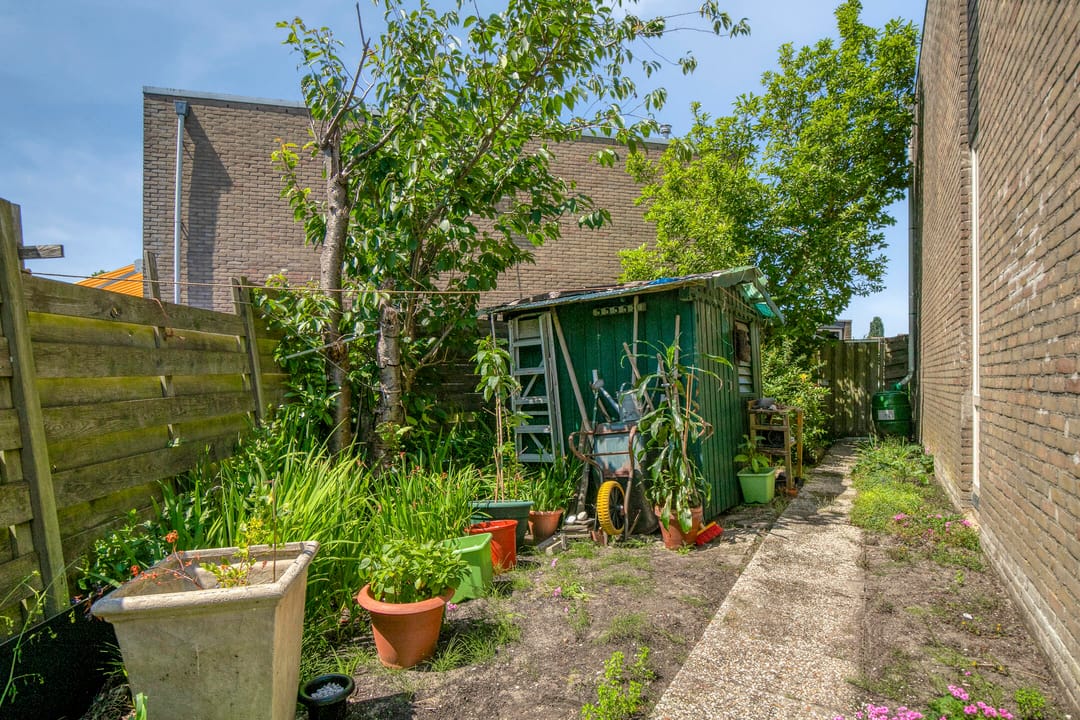 Foto 32 van Lupine 30