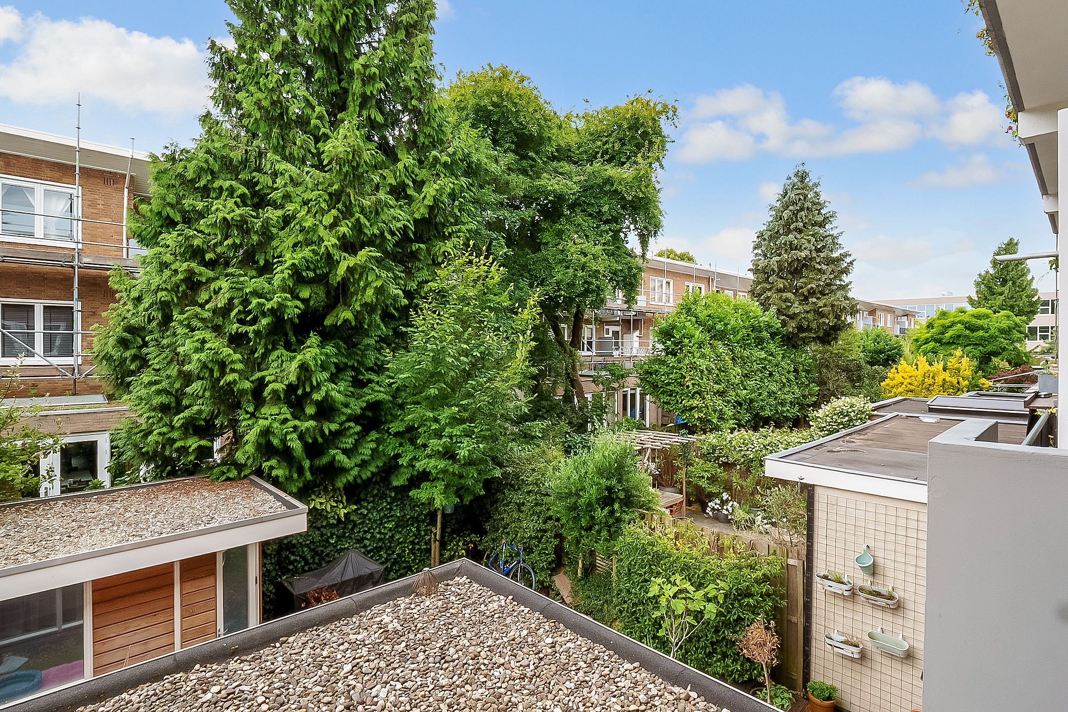 Foto 12 van Linnaeusparkweg 246-1