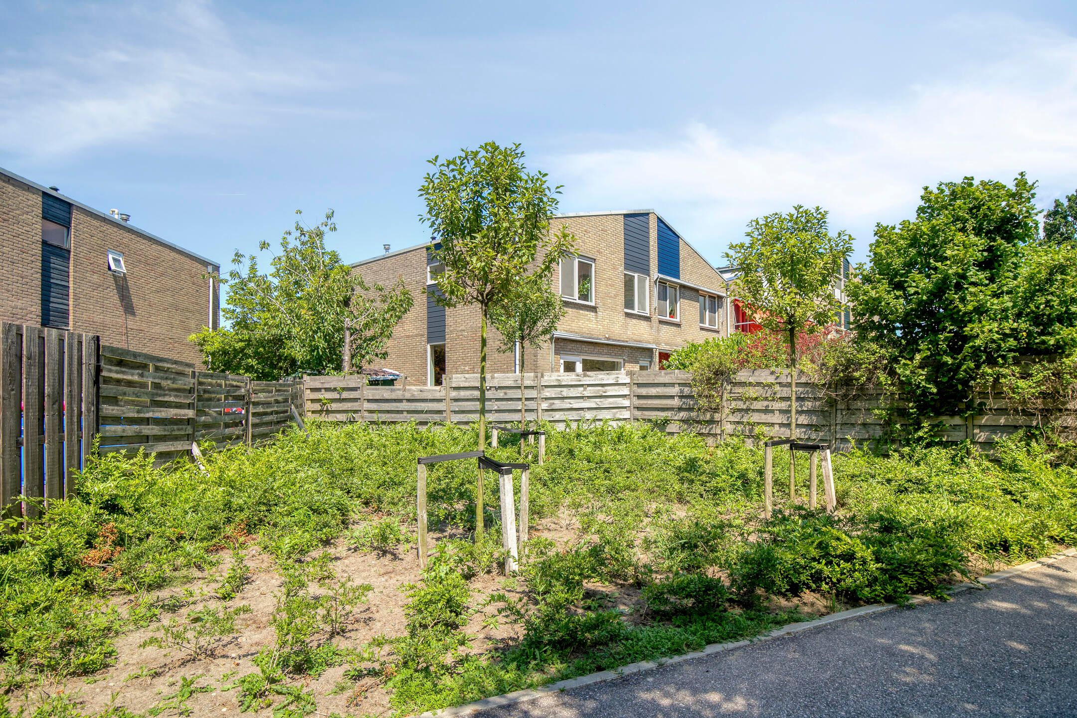 Foto 33 van Lupine 30