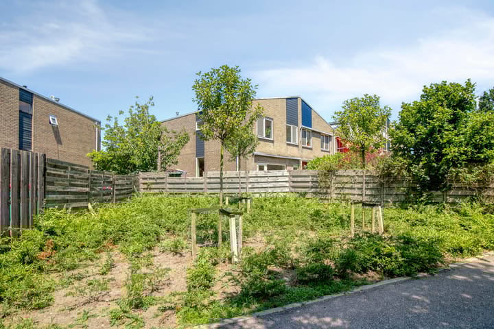 Foto 33 van Lupine 30