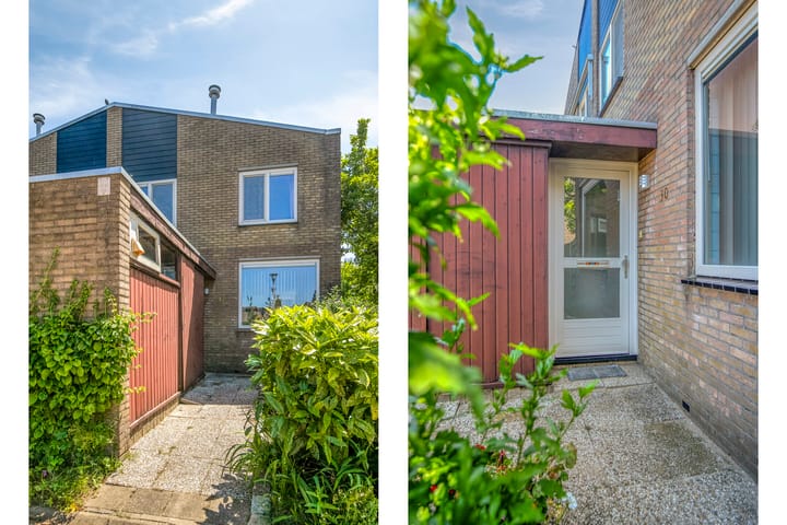 Foto 35 van Lupine 30