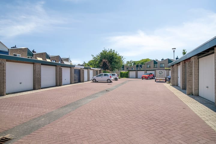 Foto 37 van Lupine 30