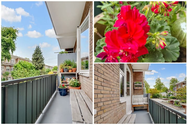 Foto 18 van Linnaeusparkweg 246-1