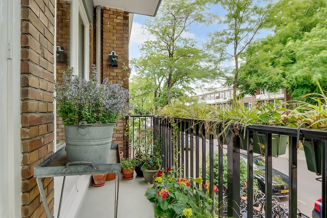 Foto 32 van Linnaeusparkweg 246-1