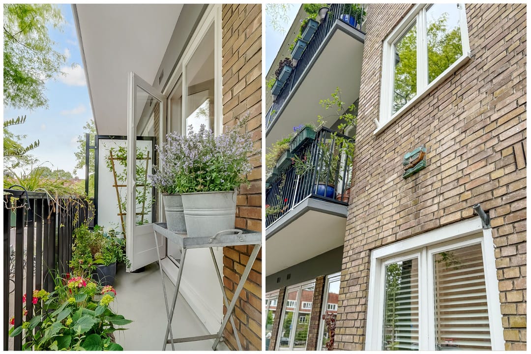 Foto 37 van Linnaeusparkweg 246-1